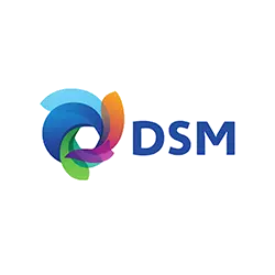 DSM